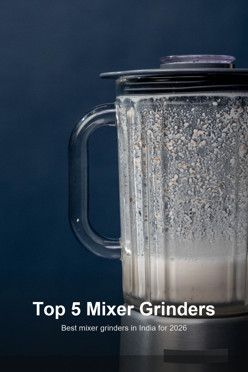 best mixer grinder in india